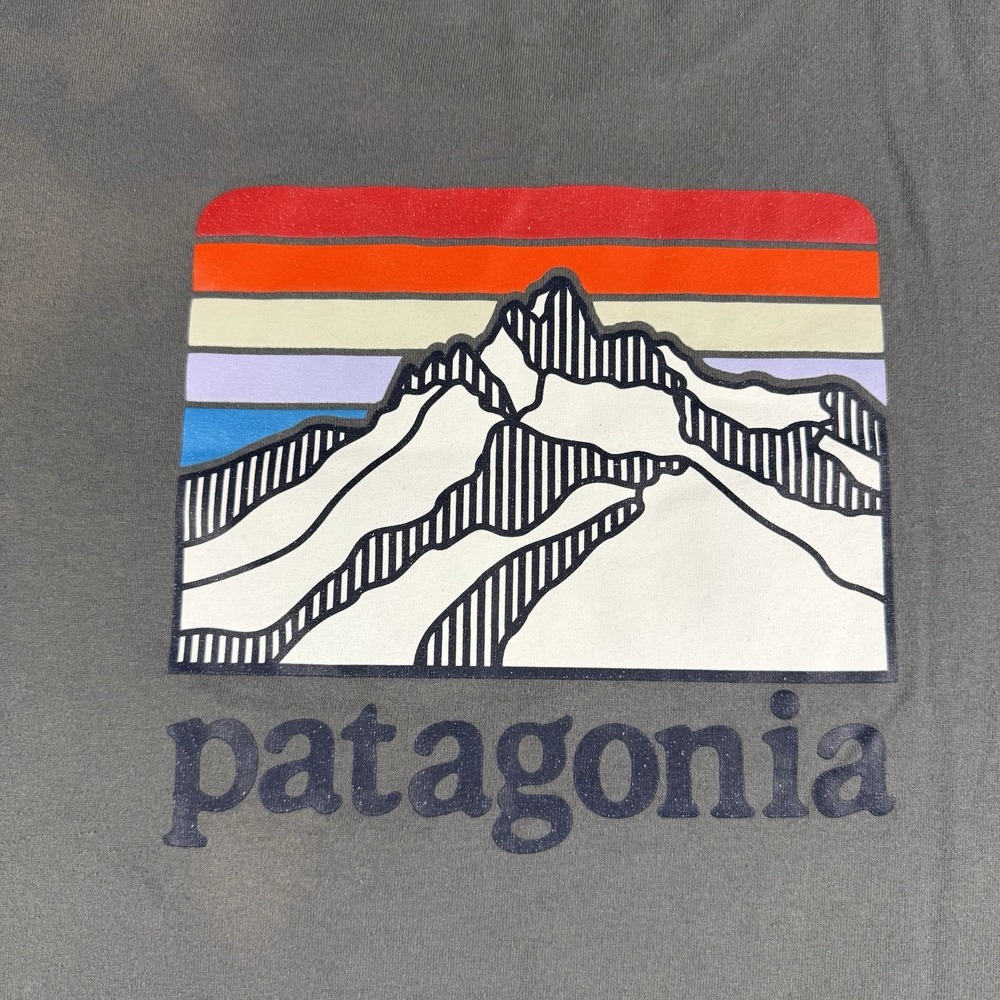 Patagonia P-6 Pocket Responsibili-Tee T-Shirt Gray Men's Medium Graphic Tee - Picture 4 of 10